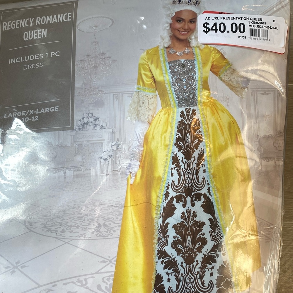 NWT Regency Romance Dress and Gloves Size 10-12